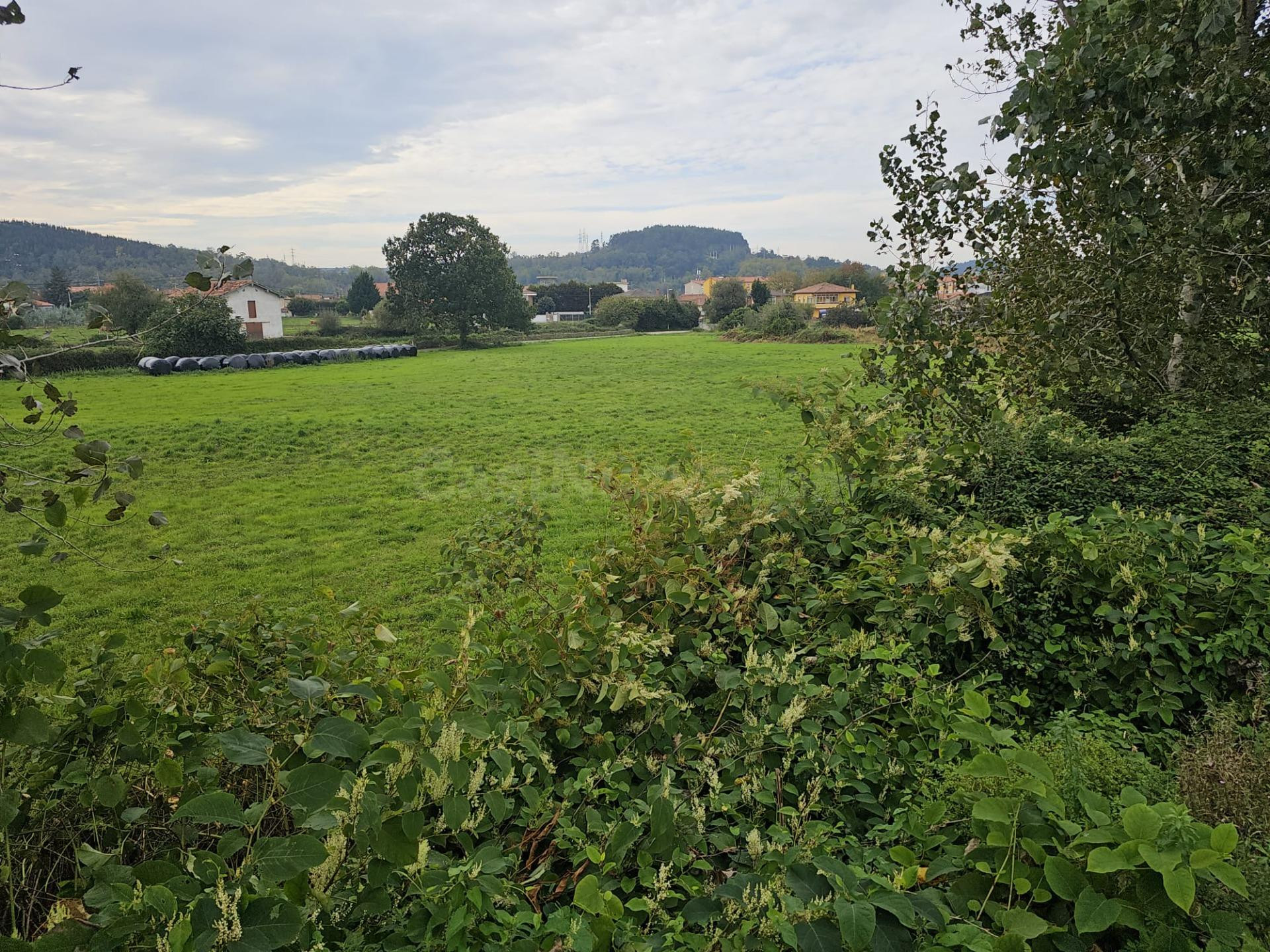 Terreno rural en venta - Tanos - foto 4