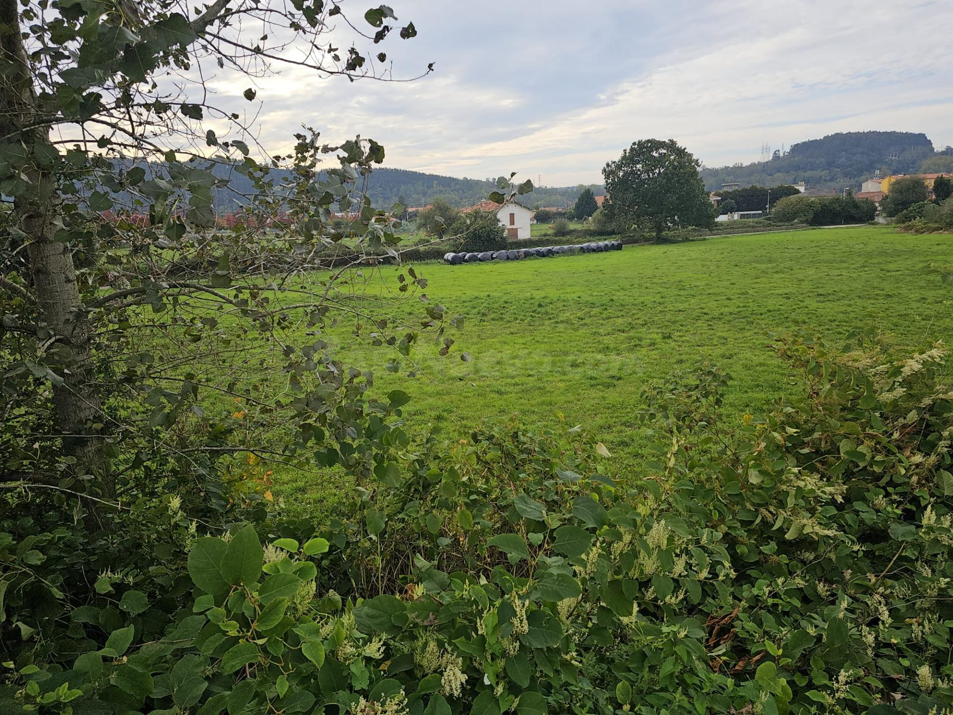 Terreno rural en venta - Tanos - foto 5