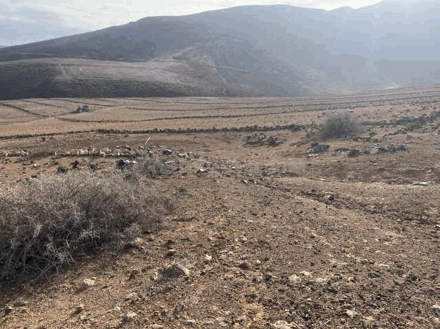 Terreno rural en venta - Barrial - foto 3