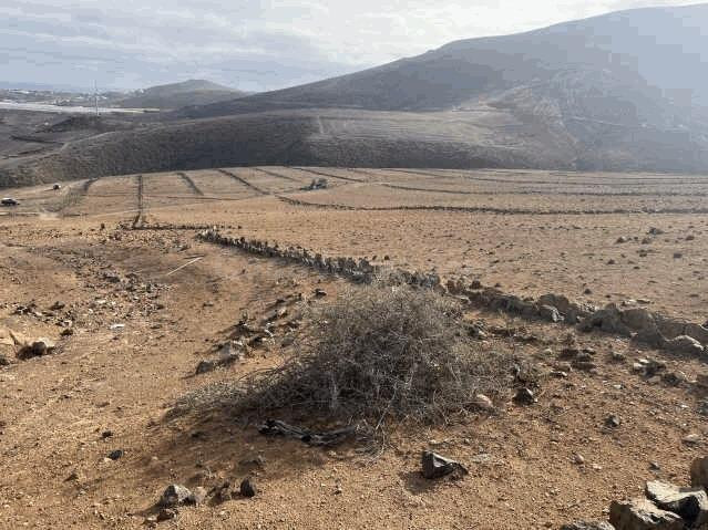 Terreno rural en venta - Barrial - foto 4