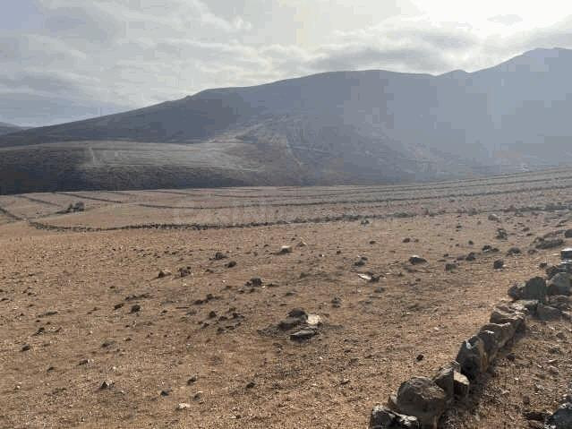 Terreno rural en venta - Barrial - foto 5