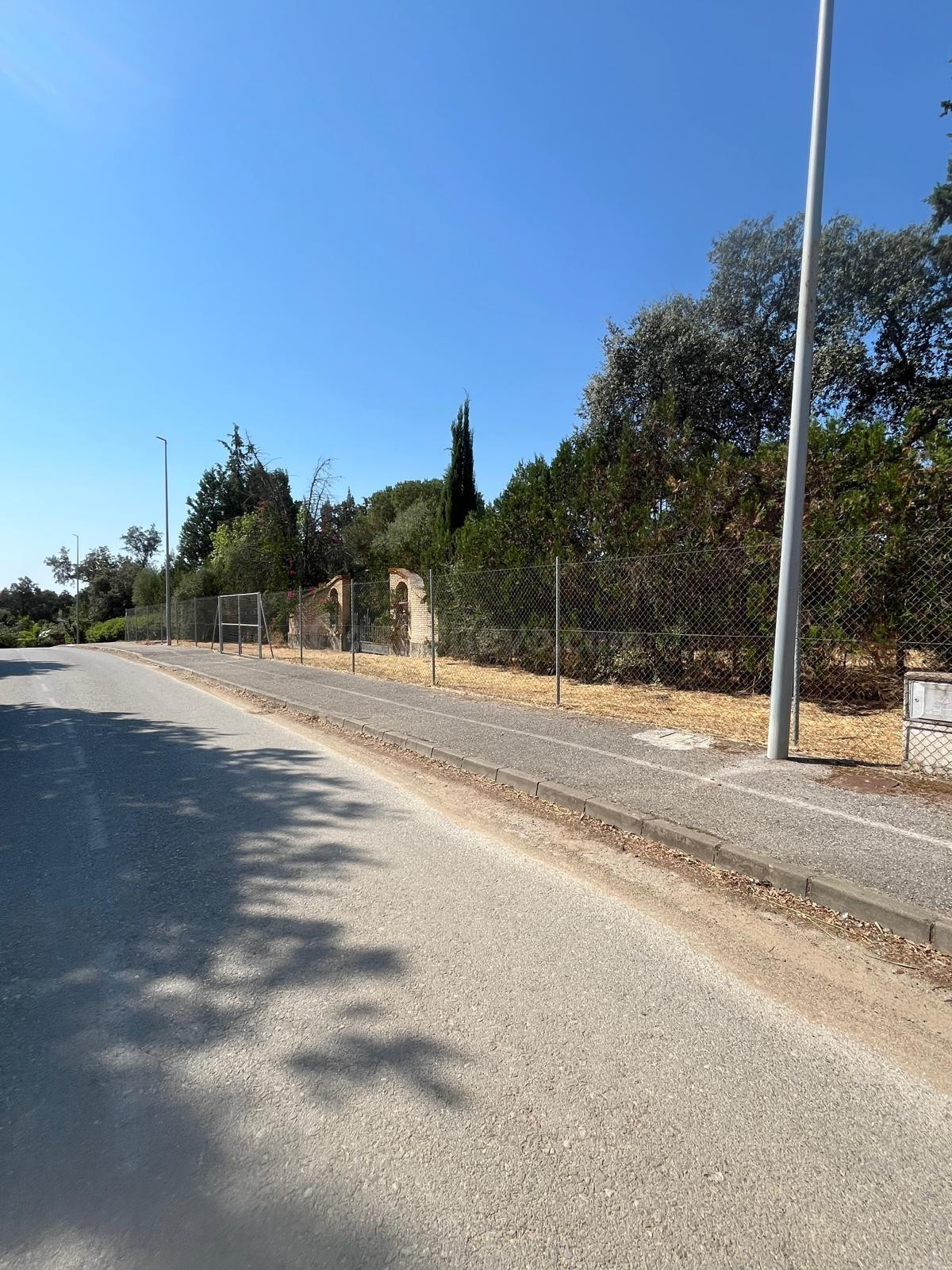 Gran Parcela  en Sanlucar la Mayor