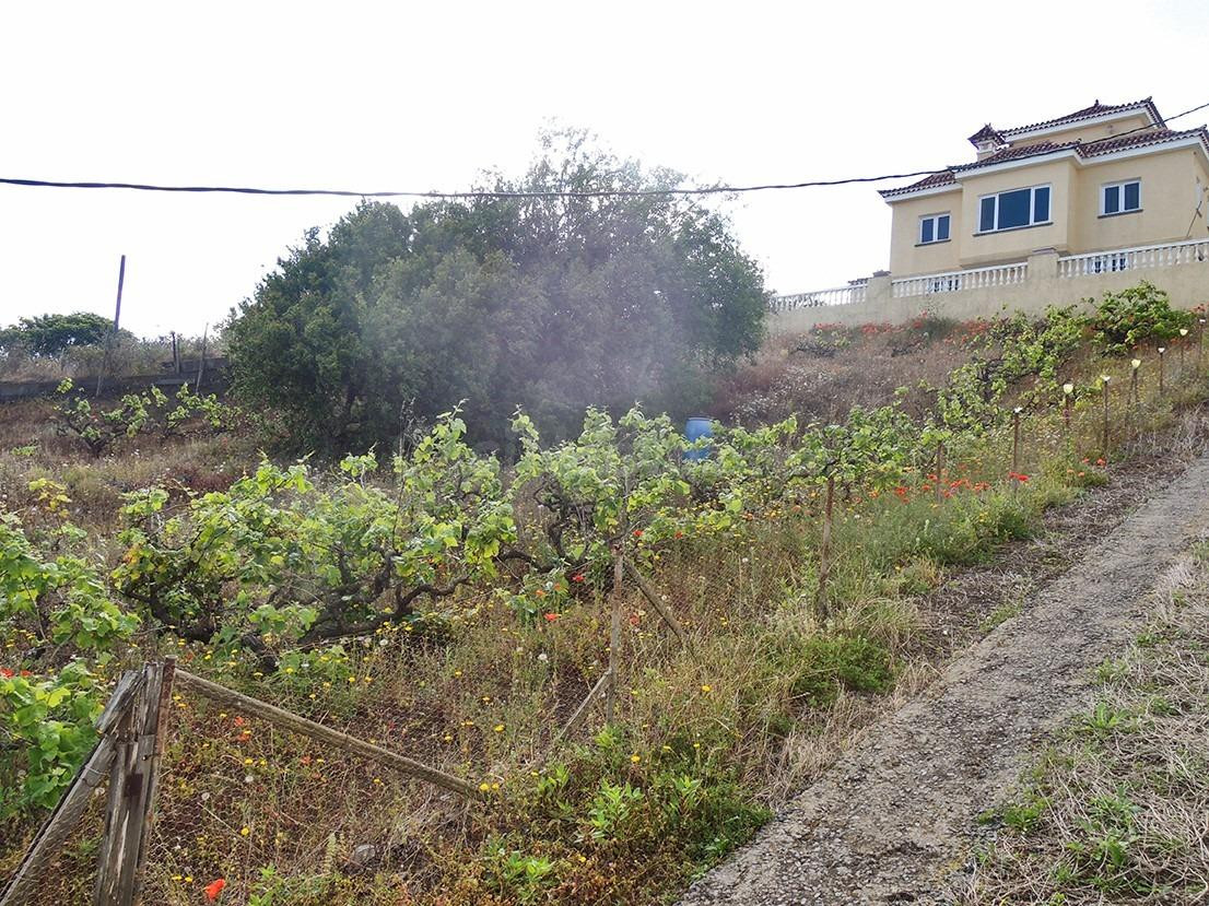 Terreno urbanizable en venta en Bandama, Las Arenillas, Sant - foto 2