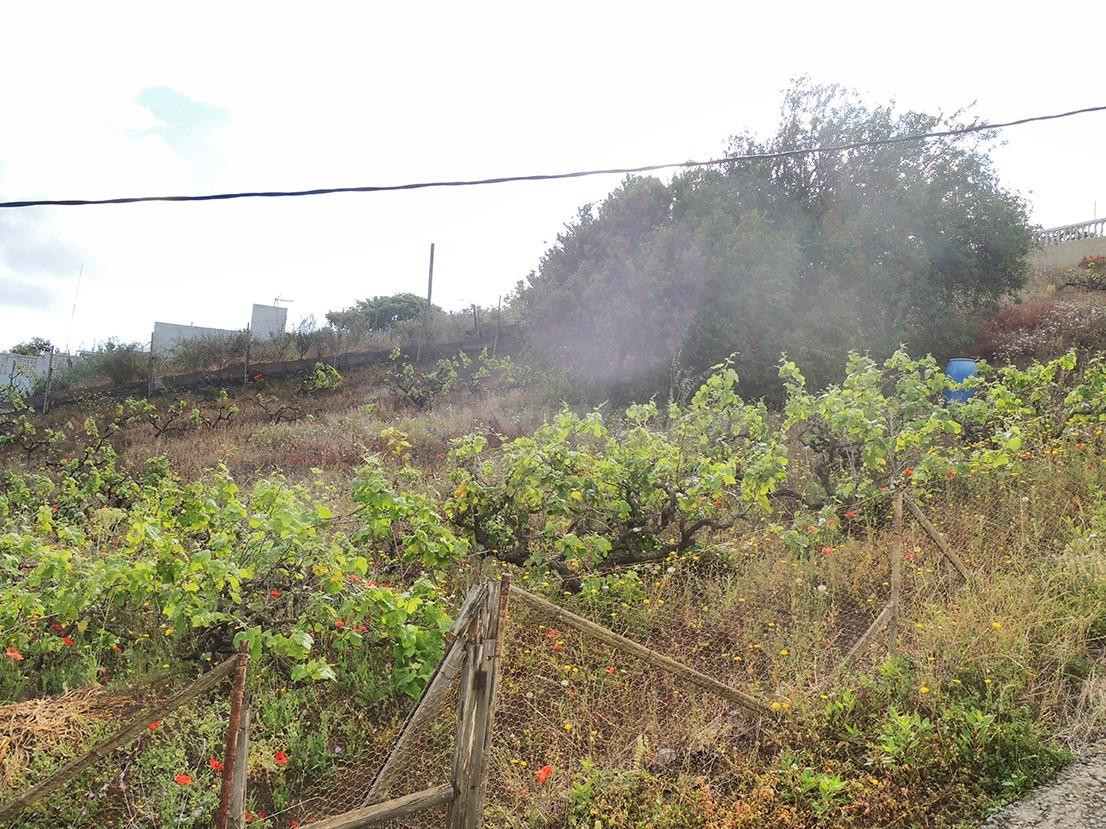 Terreno urbanizable en venta en Bandama, Las Arenillas, Sant - foto 3