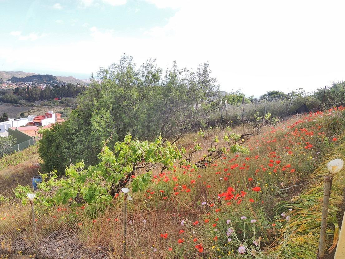 Terreno urbanizable en venta en Bandama, Las Arenillas, Sant - foto 5