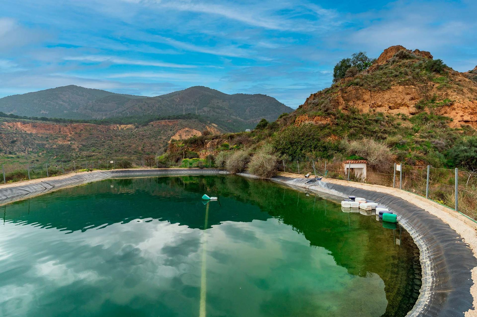 FINCA RUSTICA PRODUCTIVA