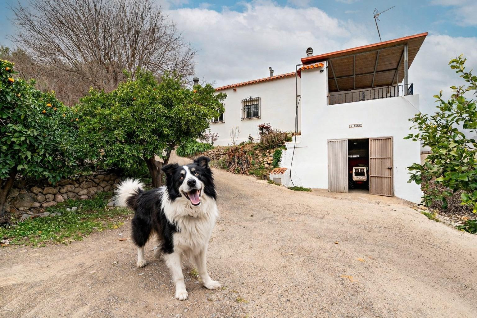 Finca con vivienda y explotación agrícola rentable — hogar, naturaleza e ingresos consolidados