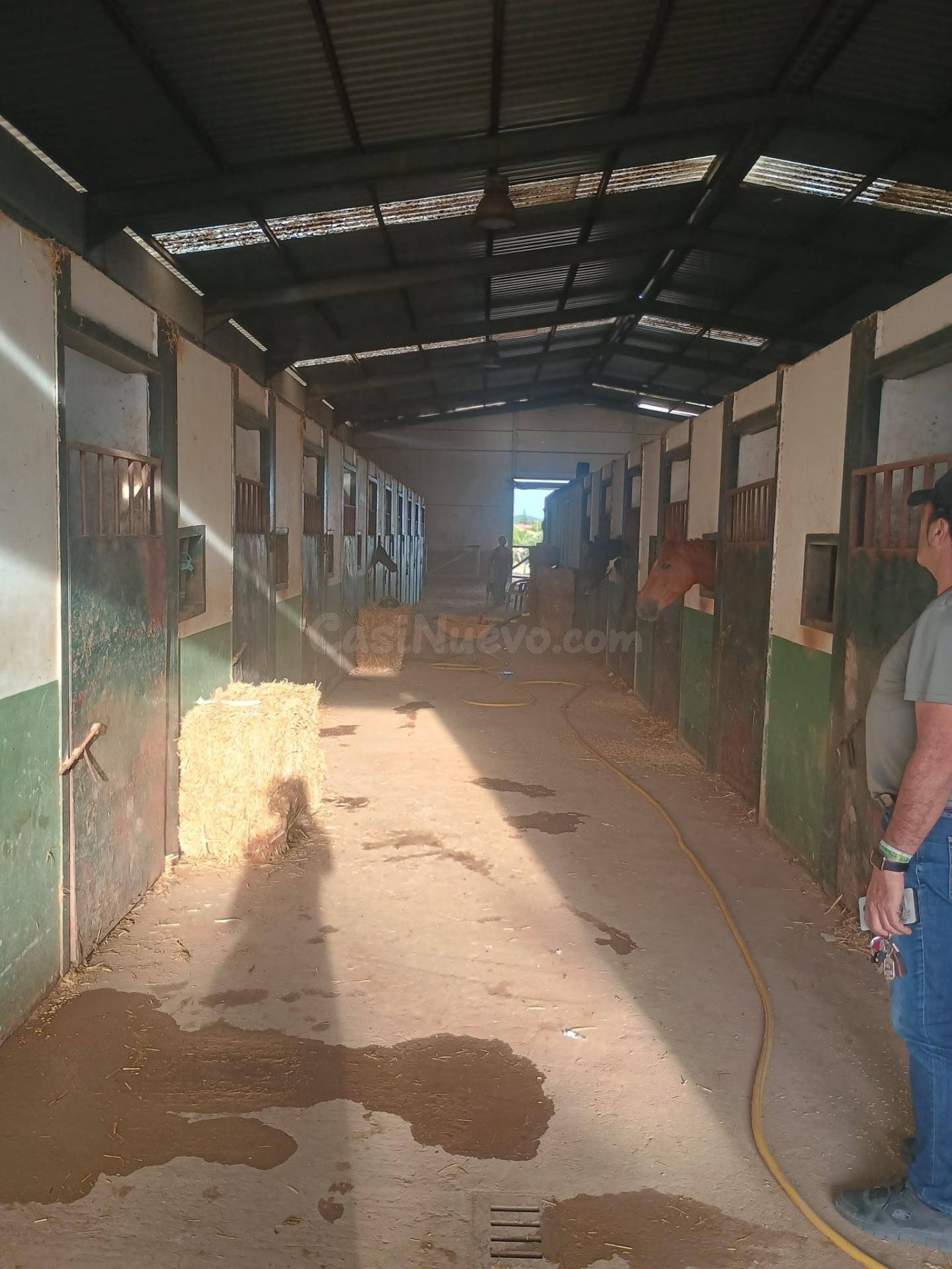 Finca rústica en Villanueva de los Castillejos (Huelva)