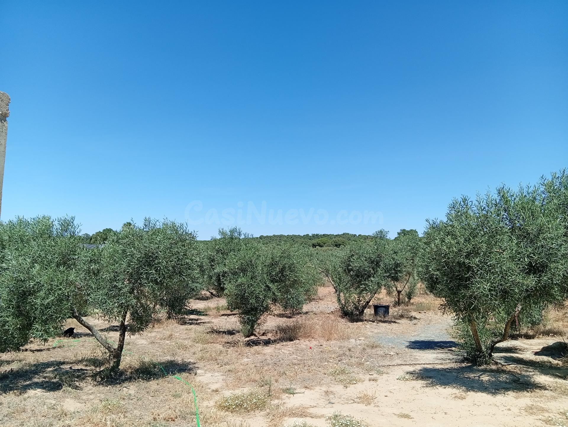 Fantástico terreno en Villablanca, Huelva