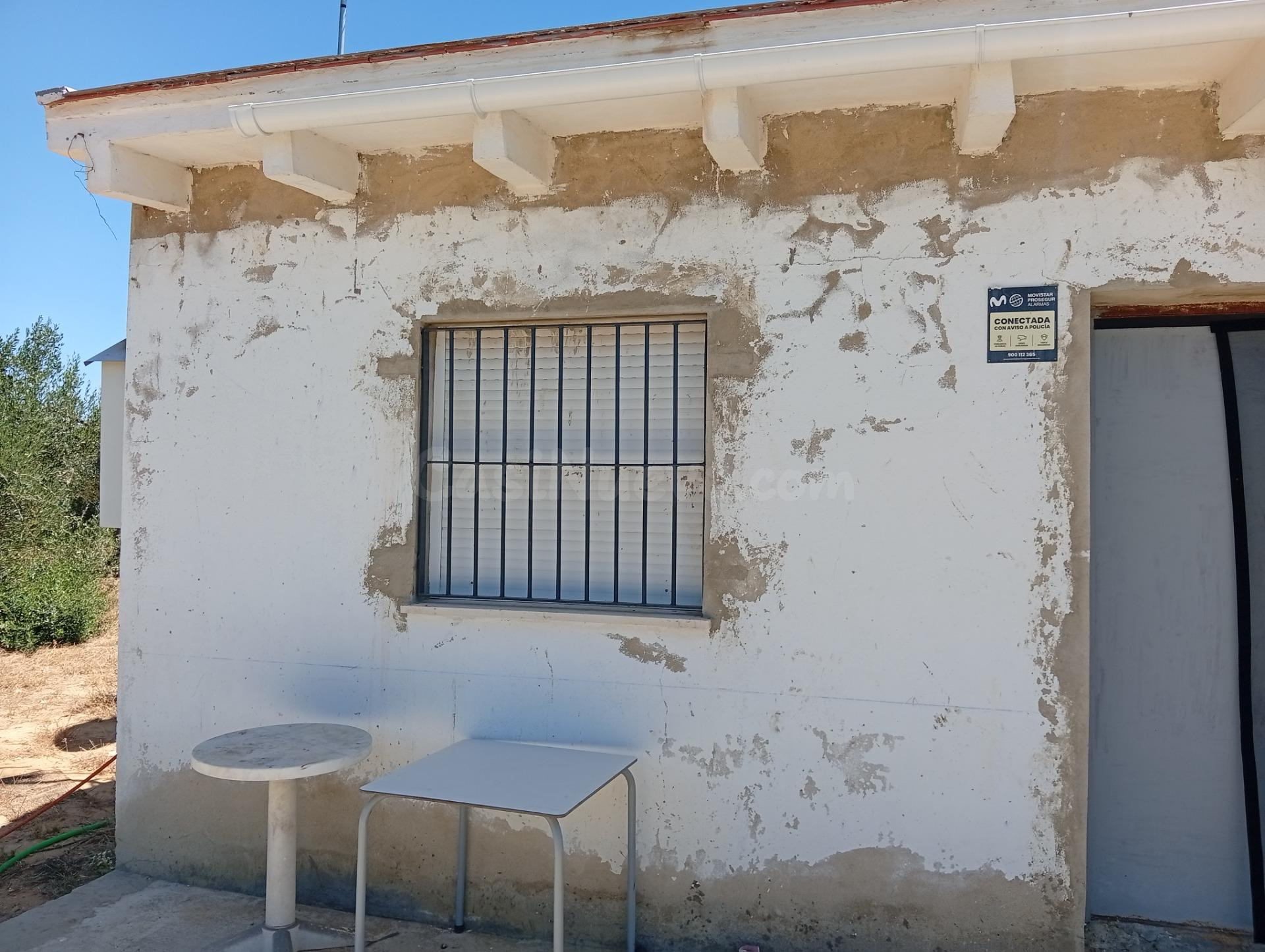 Casa rústica de 100 m2 con finca de 5.931 m2 en producción - foto 2