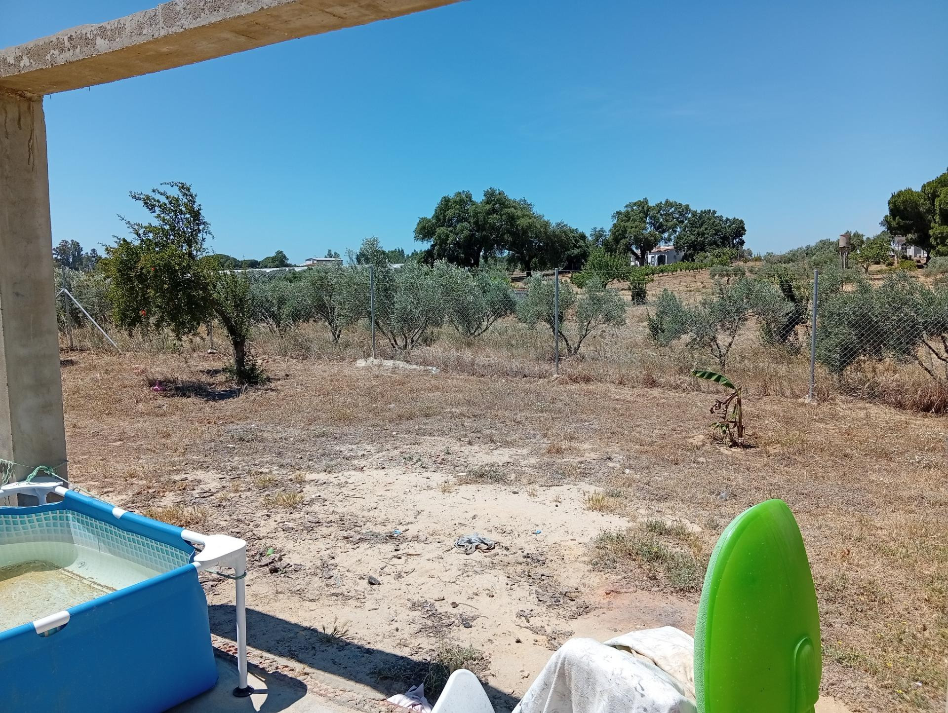 Casa rústica de 100 m2 con finca de 5.931 m2 en producción - foto 3