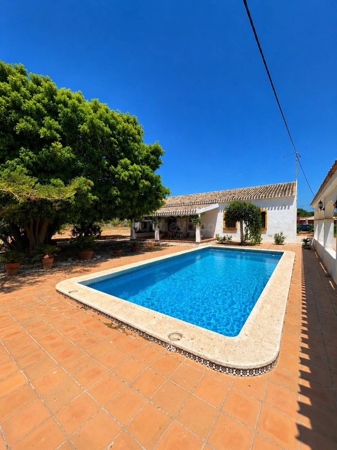 Finca con vivienda en San Pedro del Pinatar – Parcela de 30.000 m2 con piscina privada