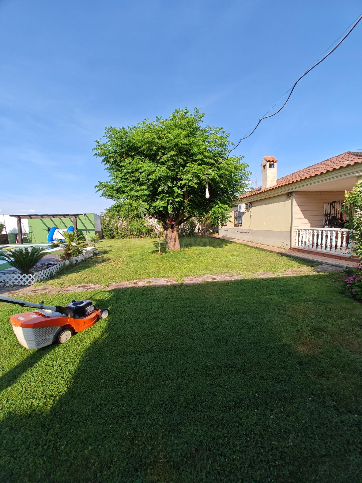 DOS VIVIENDAS, PISCINA, JARDIN Y HUERTO A MINUTOS DE D. BENI