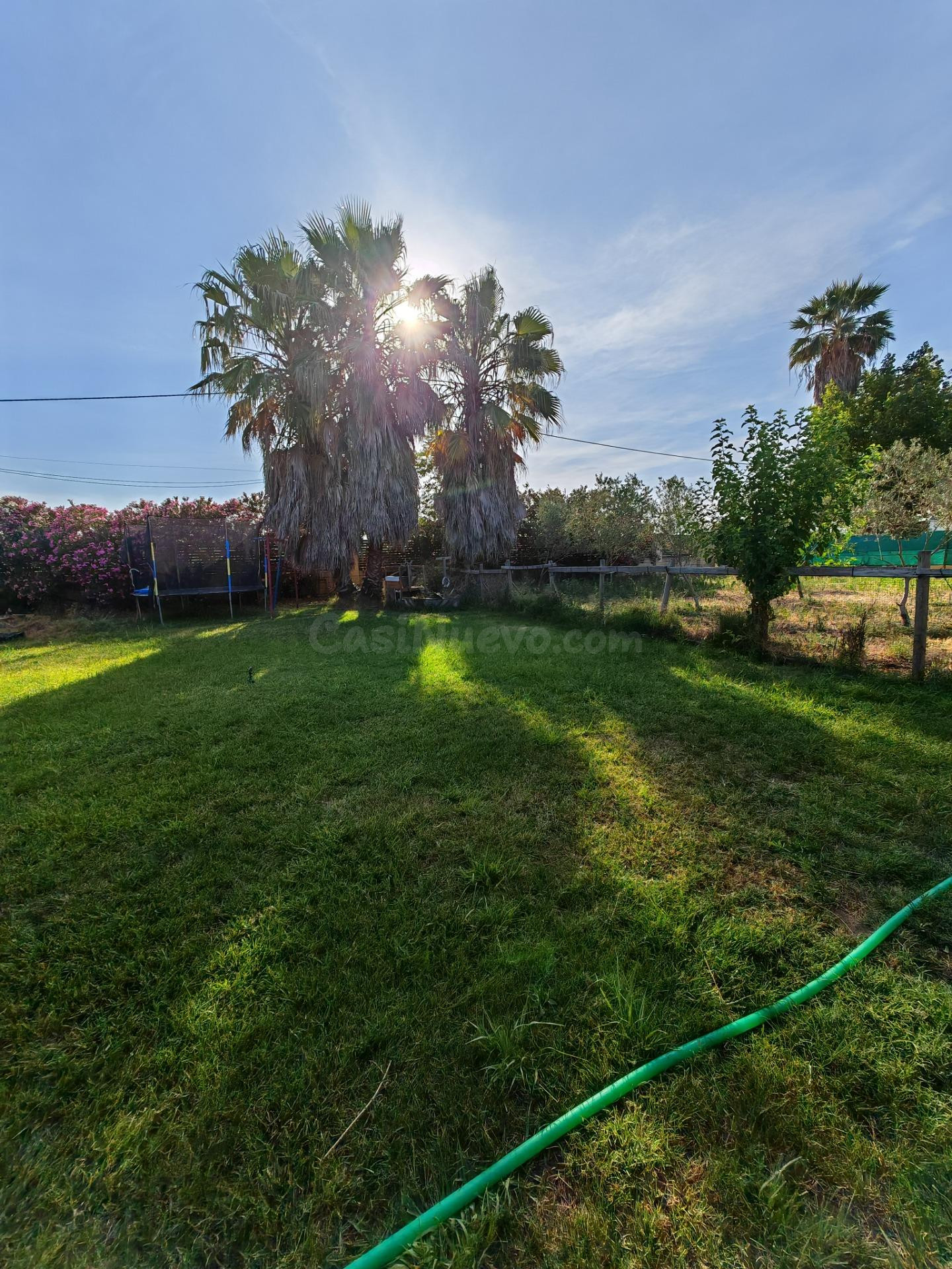 DOS VIVIENDAS, PISCINA, JARDIN Y HUERTO A MINUTOS DE D. BENI - foto 3
