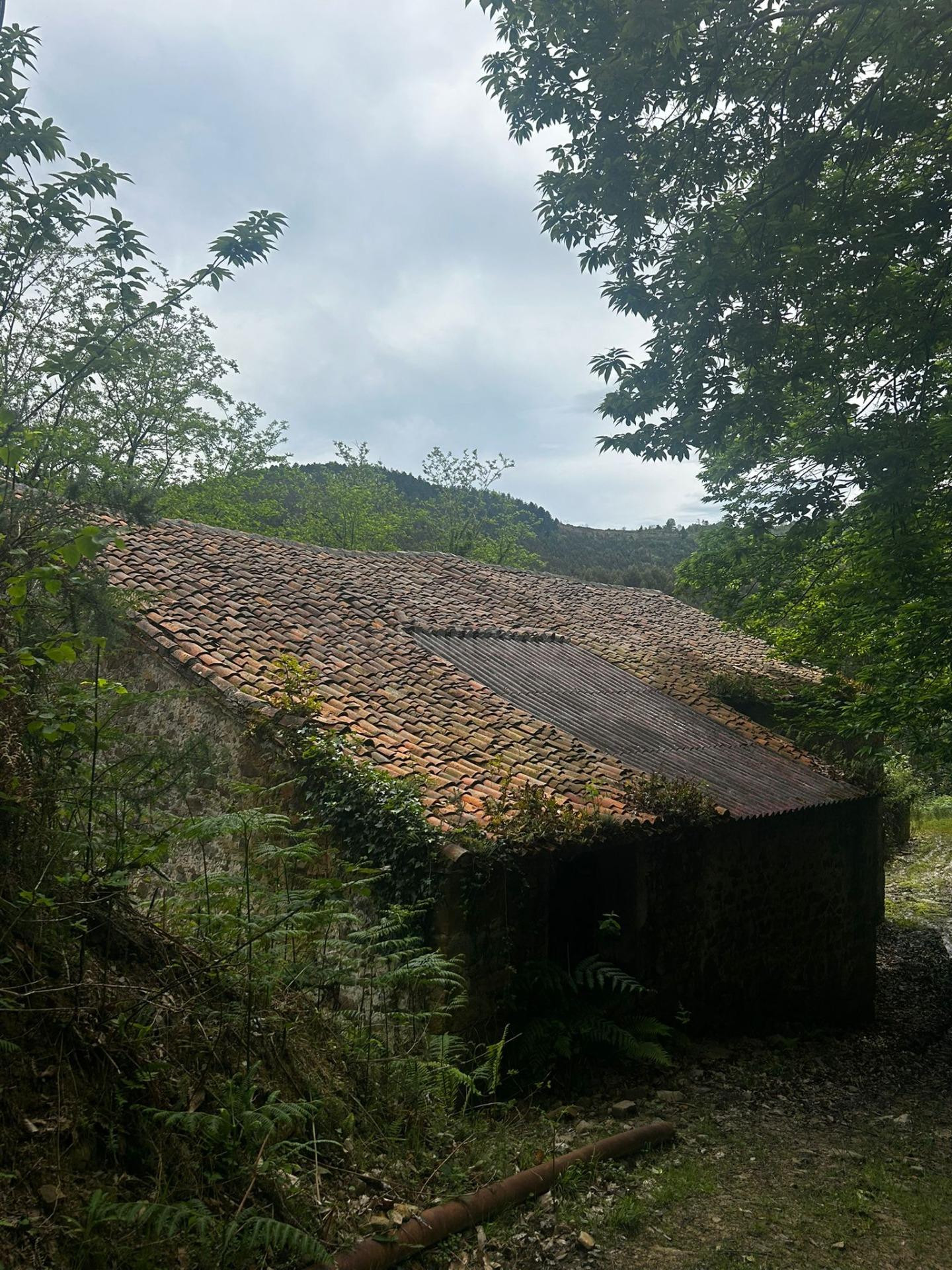 Finca singular de 16 hectáreas