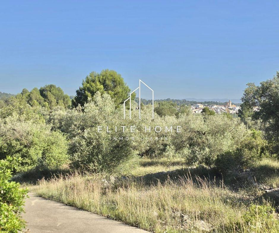 EXCLUSIVA PARCELA DE 17.000M2 EN SAN JORDI