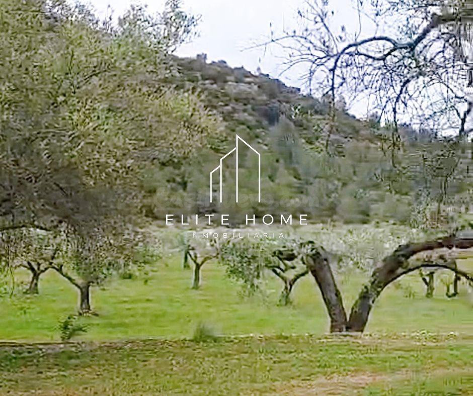 FINCA CON GRAN POTENCIAL JUNTO A CERVERA DEL MAESTRE