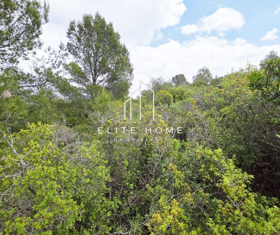 FINCA CON GRAN POTENCIAL JUNTO A CERVERA DEL MAESTRE - foto 2