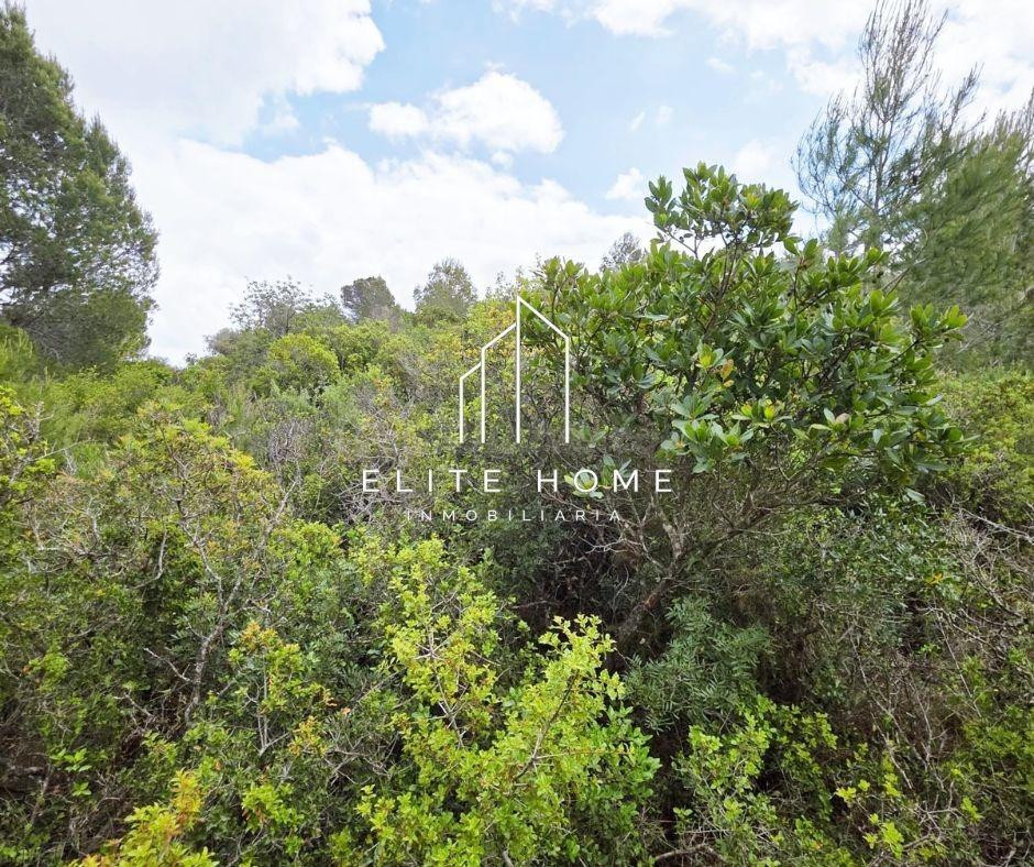 FINCA CON GRAN POTENCIAL JUNTO A CERVERA DEL MAESTRE - foto 3