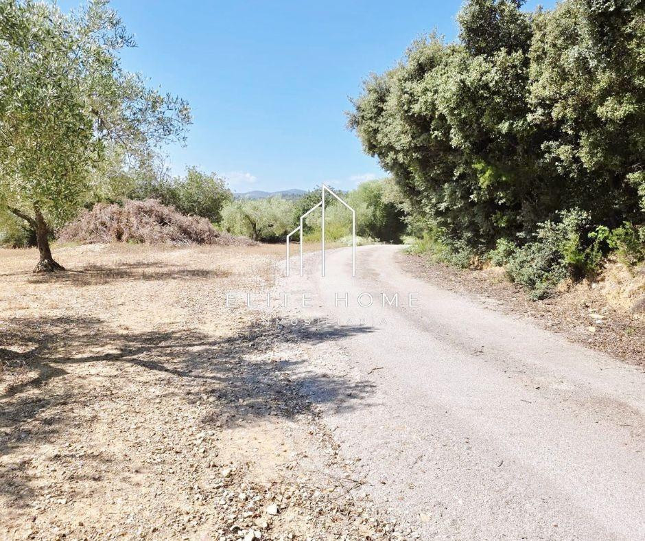 PARCELA RÚSTICA DE 5.303 m2 CON POSIBILIDAD DE ESTUDIAAR PRO - foto 4
