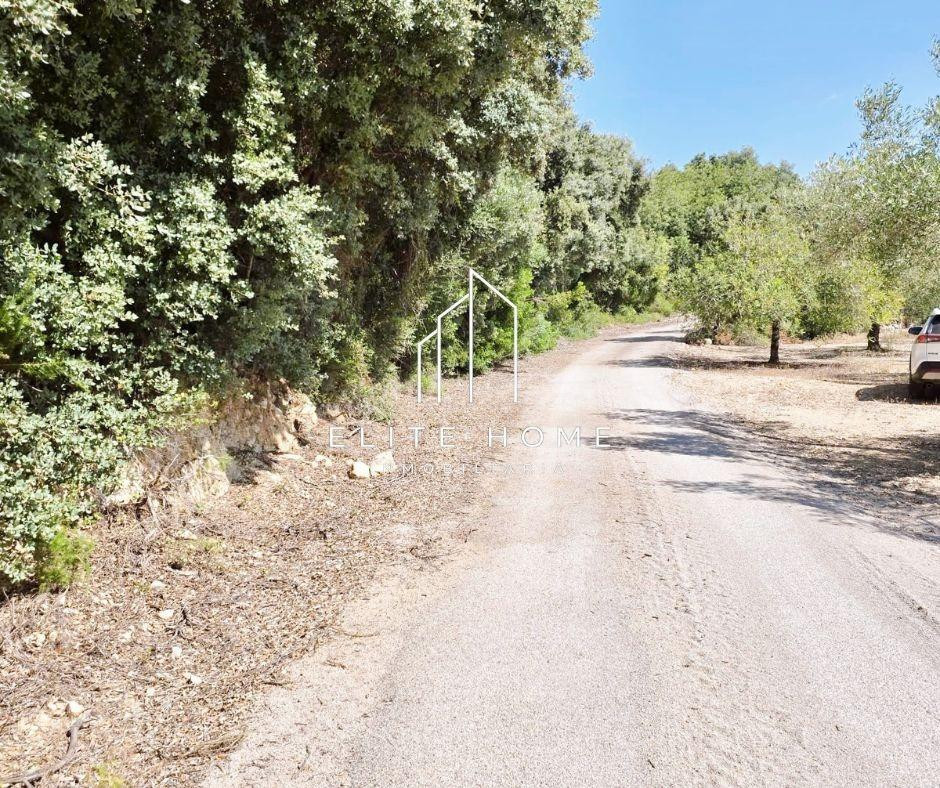 PARCELA RÚSTICA DE 5.303 m2 CON POSIBILIDAD DE ESTUDIAAR PRO - foto 5