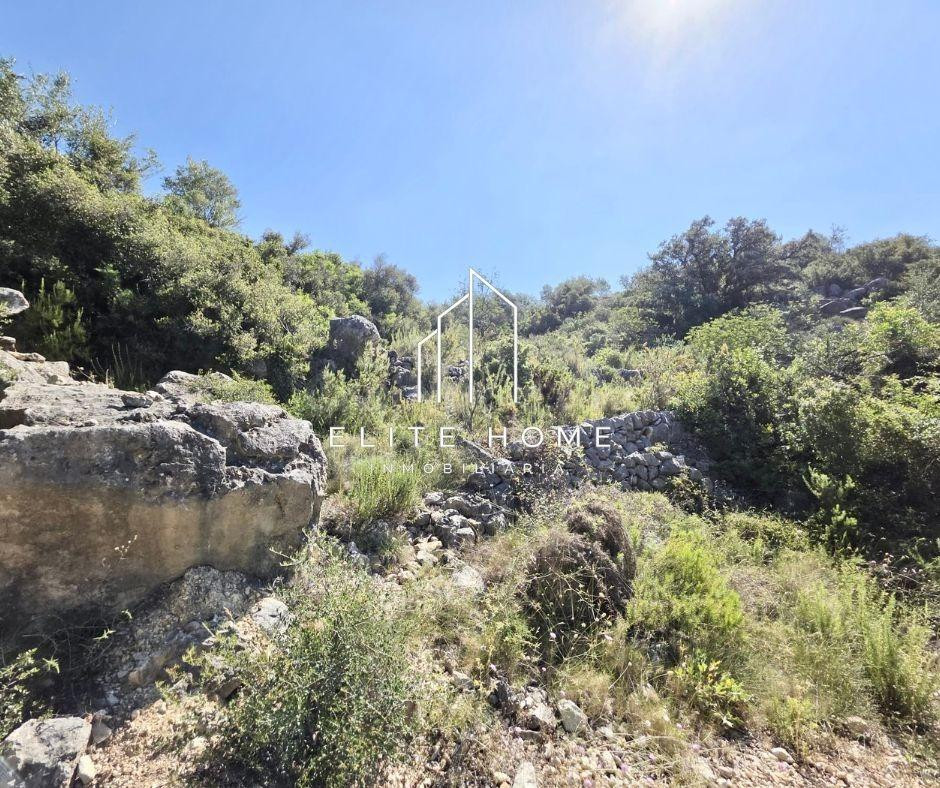 PARCELA RÚSTICA DE 19.690m2 CON POSIBILIDAD DE CONSTRUIR VIV - foto 2