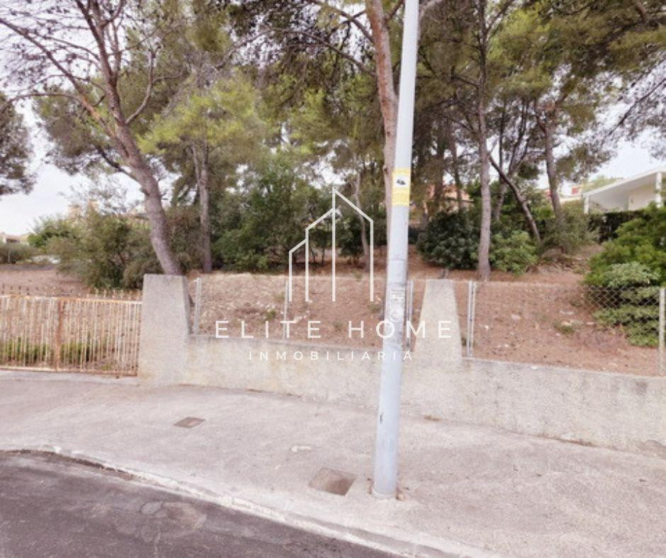 AMPLIA PARCELA URBANA EN LA EXCLUSIVA URBANIZACIÓN LAS PALMAS DE MONTORNES