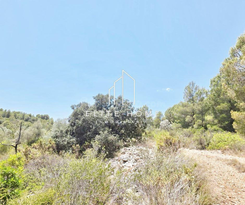 FINCA RUSTICA CON GRAN POTENCIAL CERCA DE CERVERA DEL MAETRE - foto 2