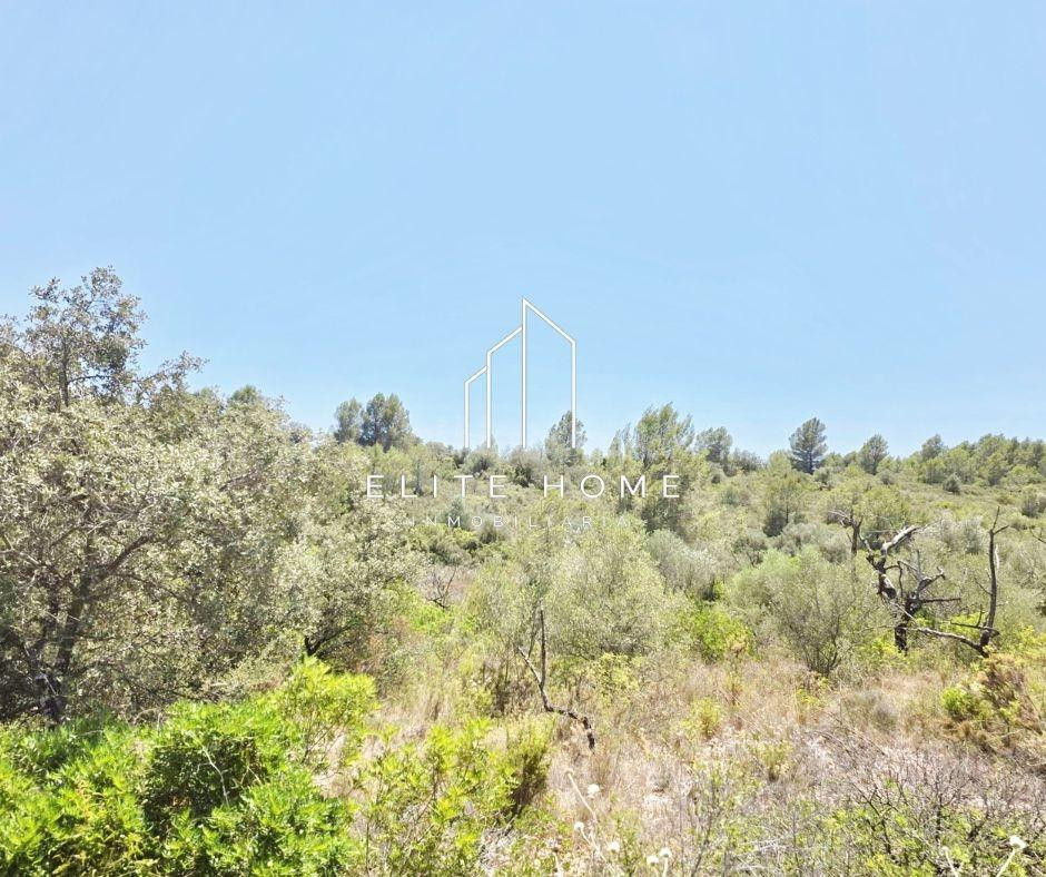 FINCA RUSTICA CON GRAN POTENCIAL CERCA DE CERVERA DEL MAETRE - foto 3