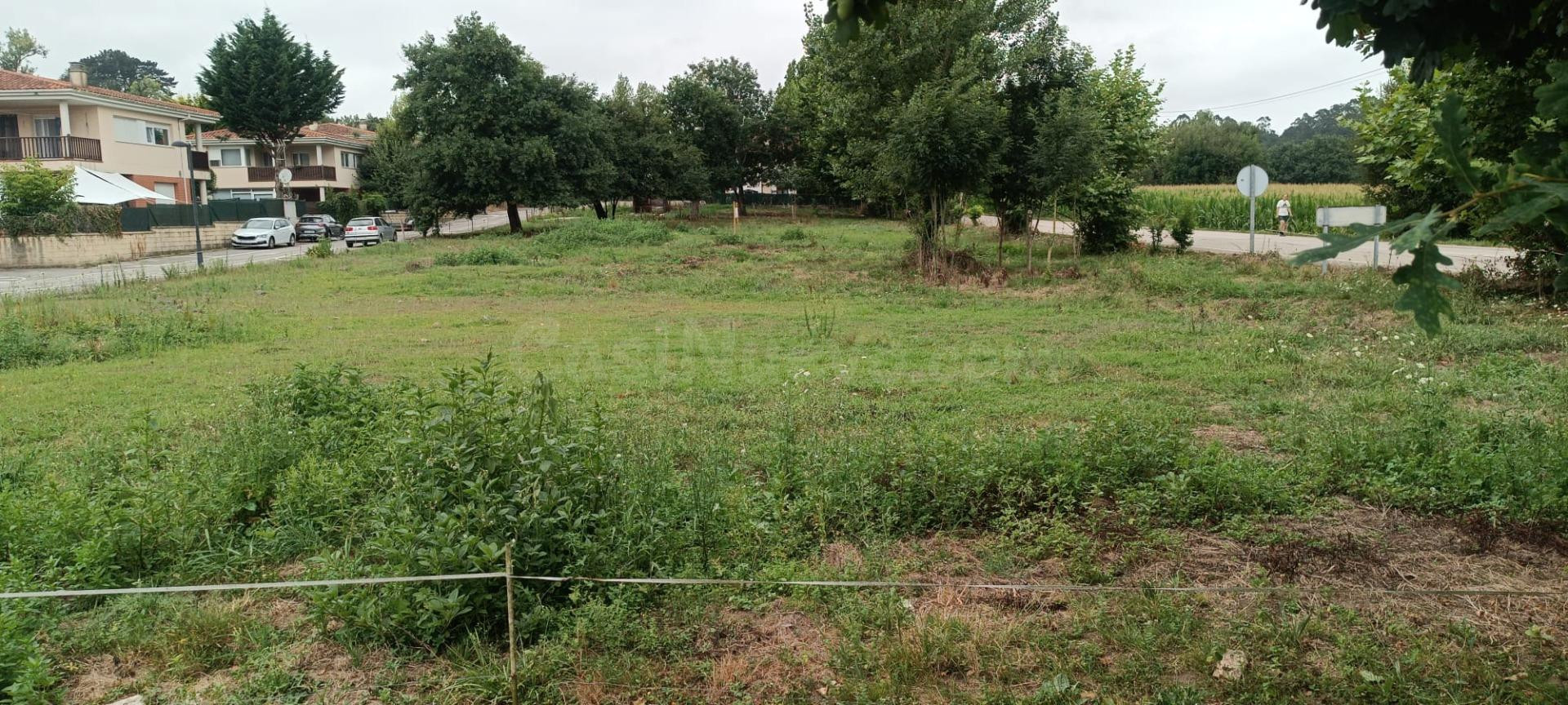 Oportunidad Exclusiva de Inversión y Promoción Inmobiliaria  - foto 3