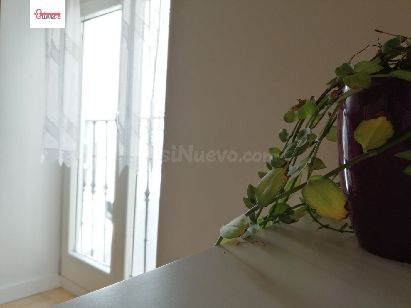 APARTAMENTO EN CASCO ANTIGUO - foto 4