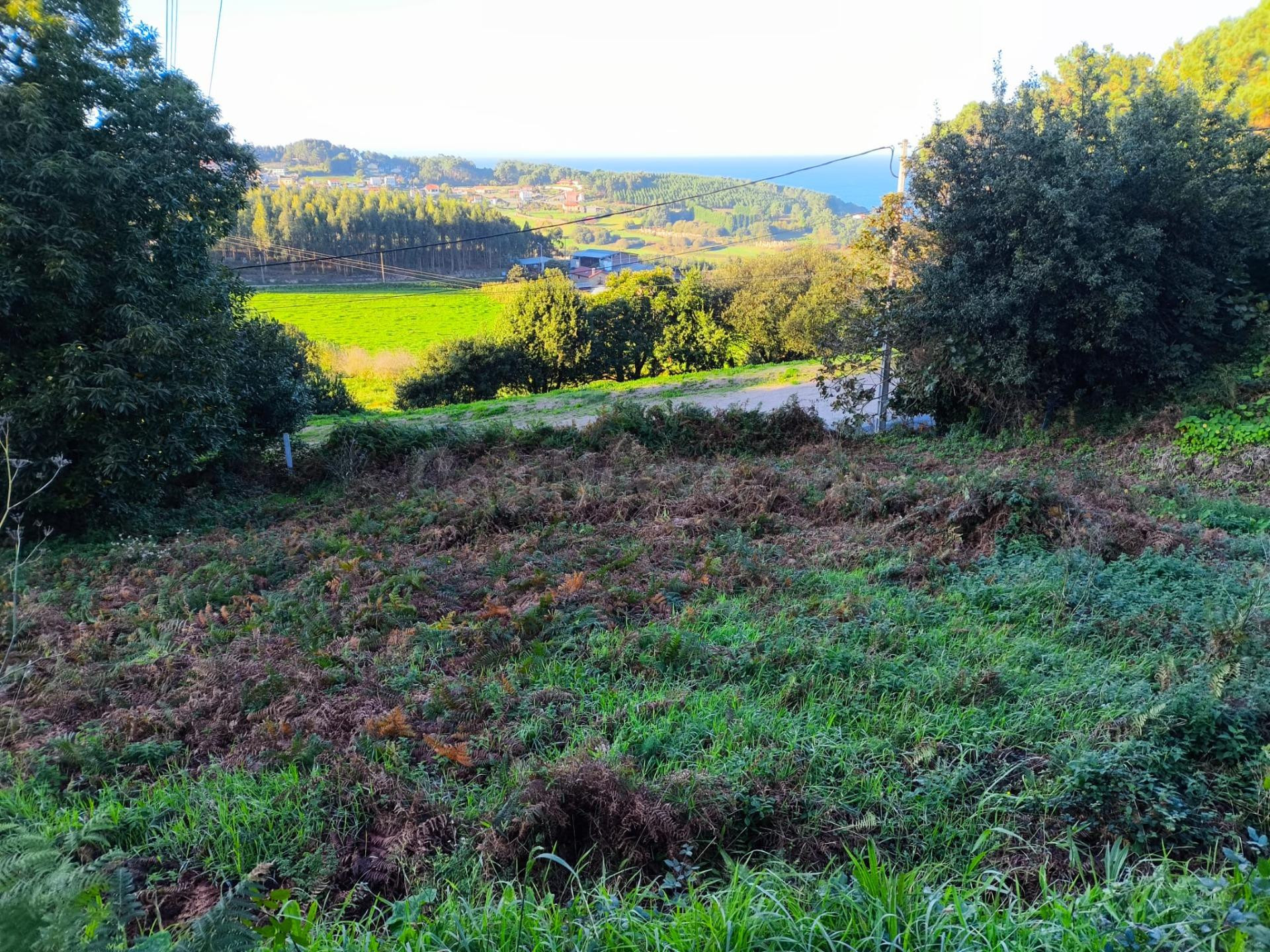 Tres fincas urbanas en Lagoa (Chamín-Barrañán)