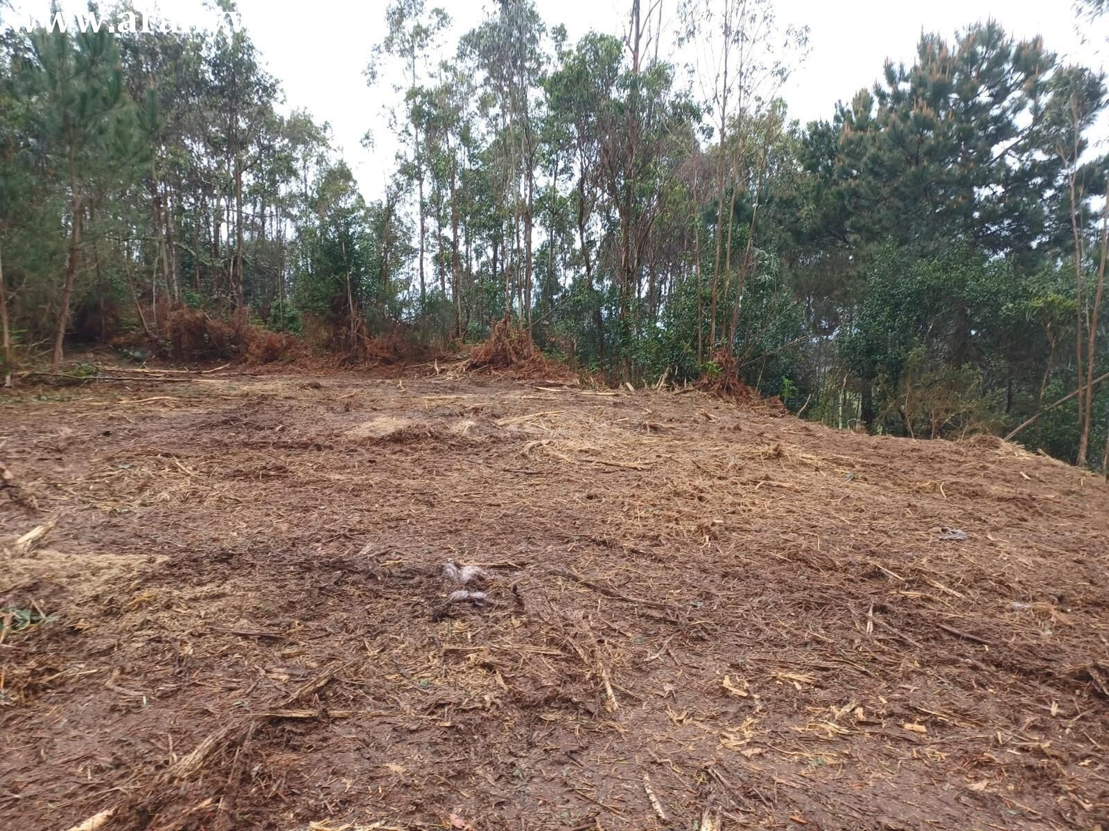 Finca de 19000m2 con 1000 m2 urbanos