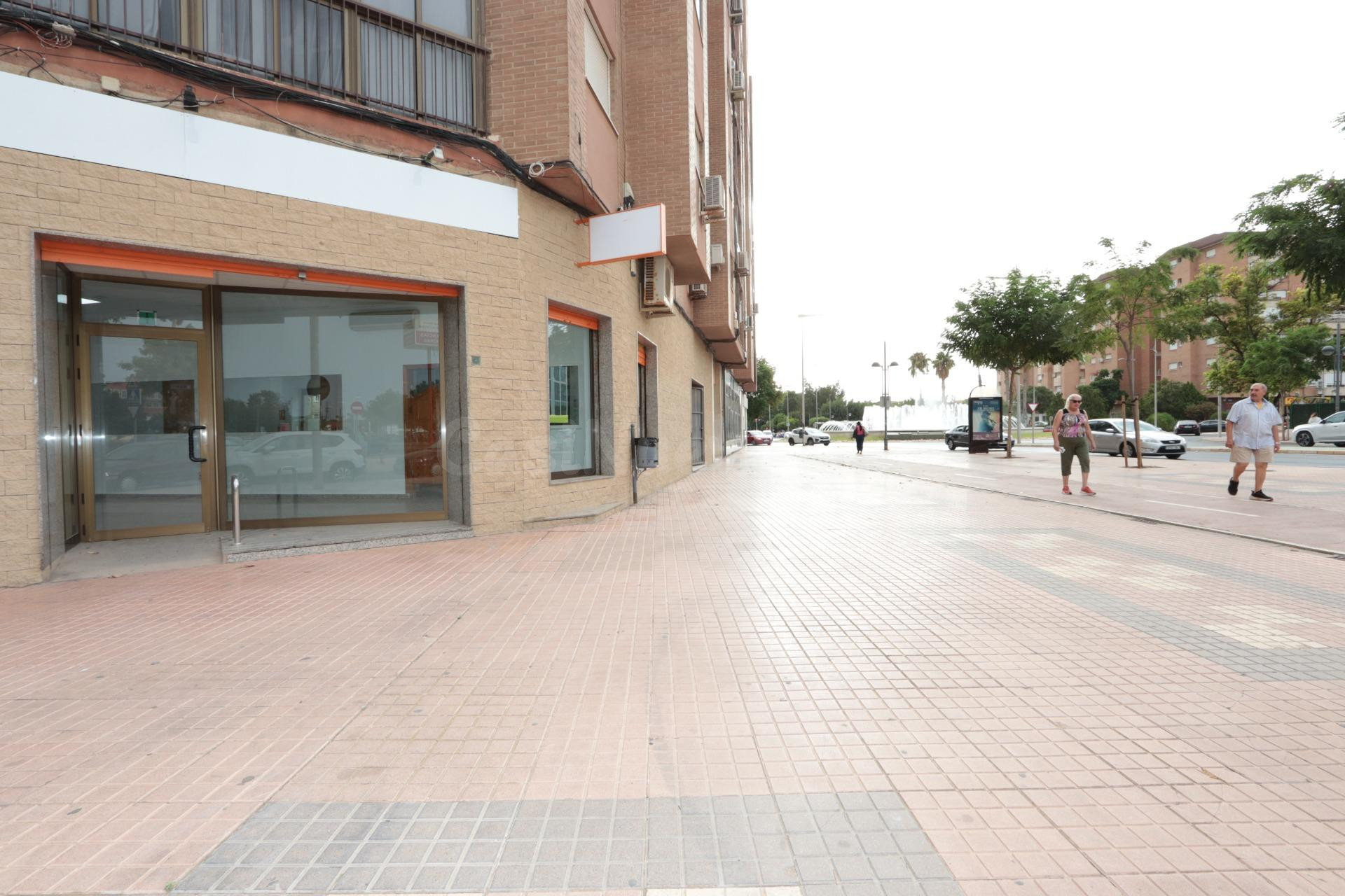 LOCAL COMERCIAL EN CALLE JORGE JUAN CARTAGENA - foto 5