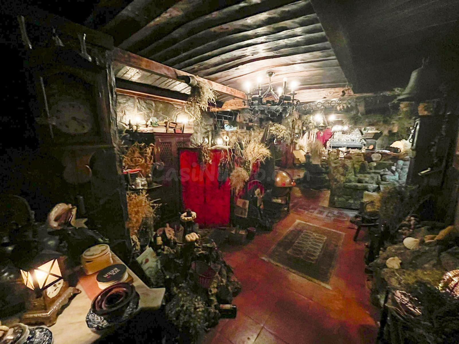 Oportunidad única Se vende cafeteria con increíbles tesoros de colección