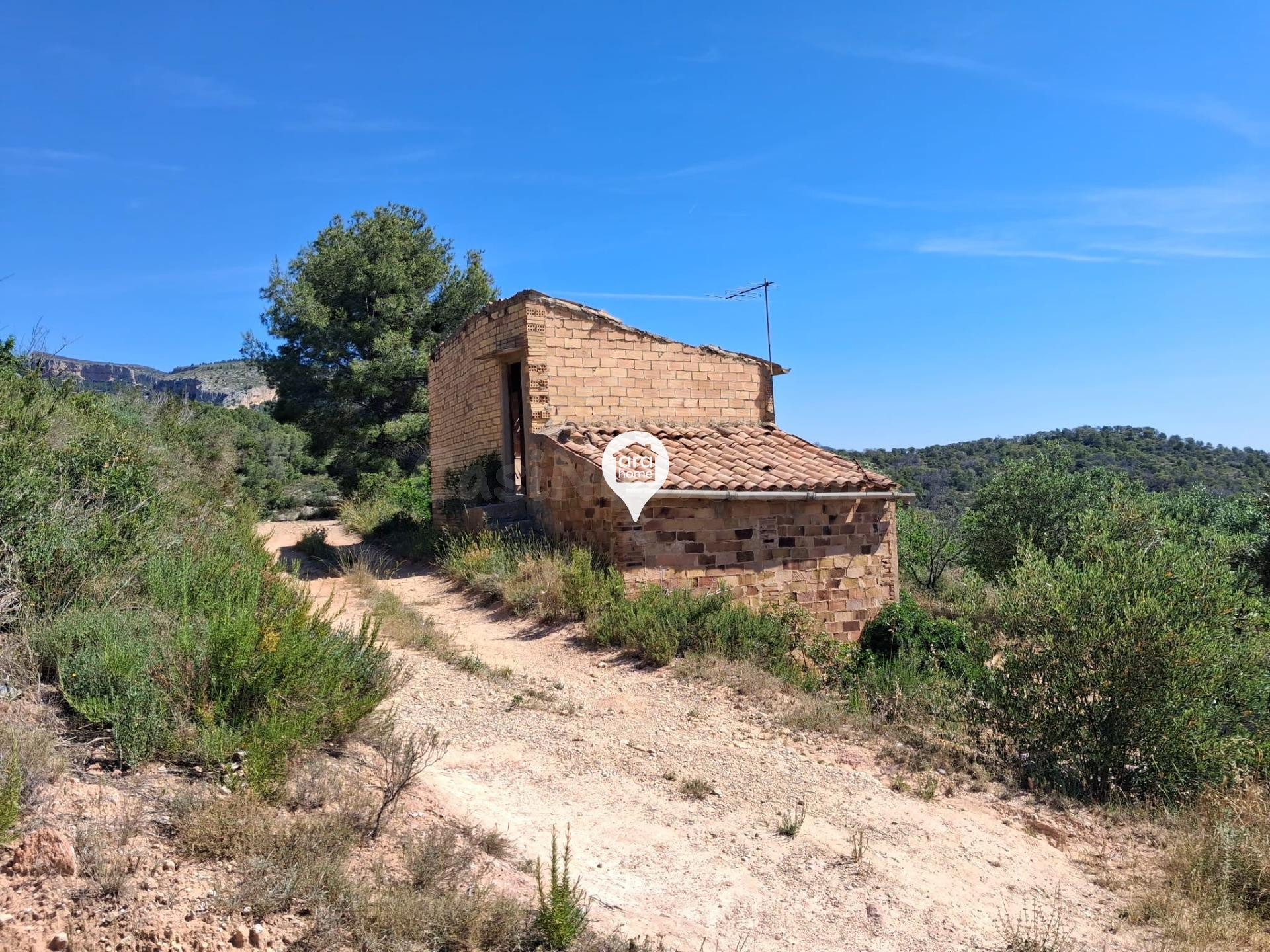 GRAN TERRENO EN EL PINELL - foto 2