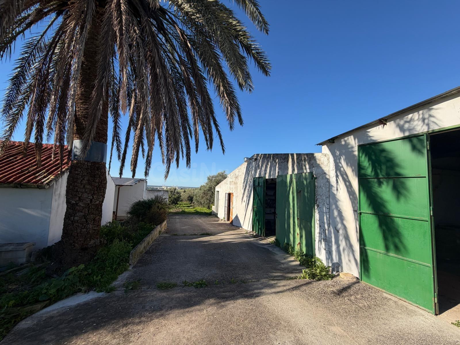 CORTIJO CON 63MIL METROS DE PARCELA, APARTAMENTOS, NAVES Y BODEGA