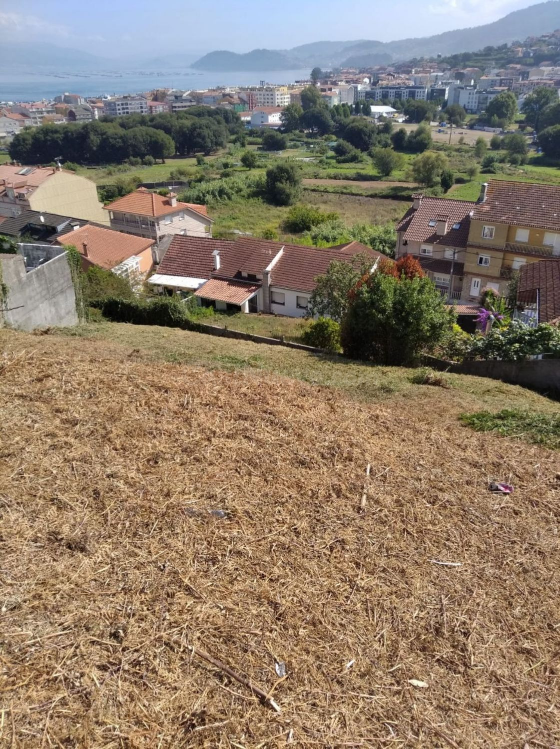 Terreno rural 500m² en venta - Centro - foto 4
