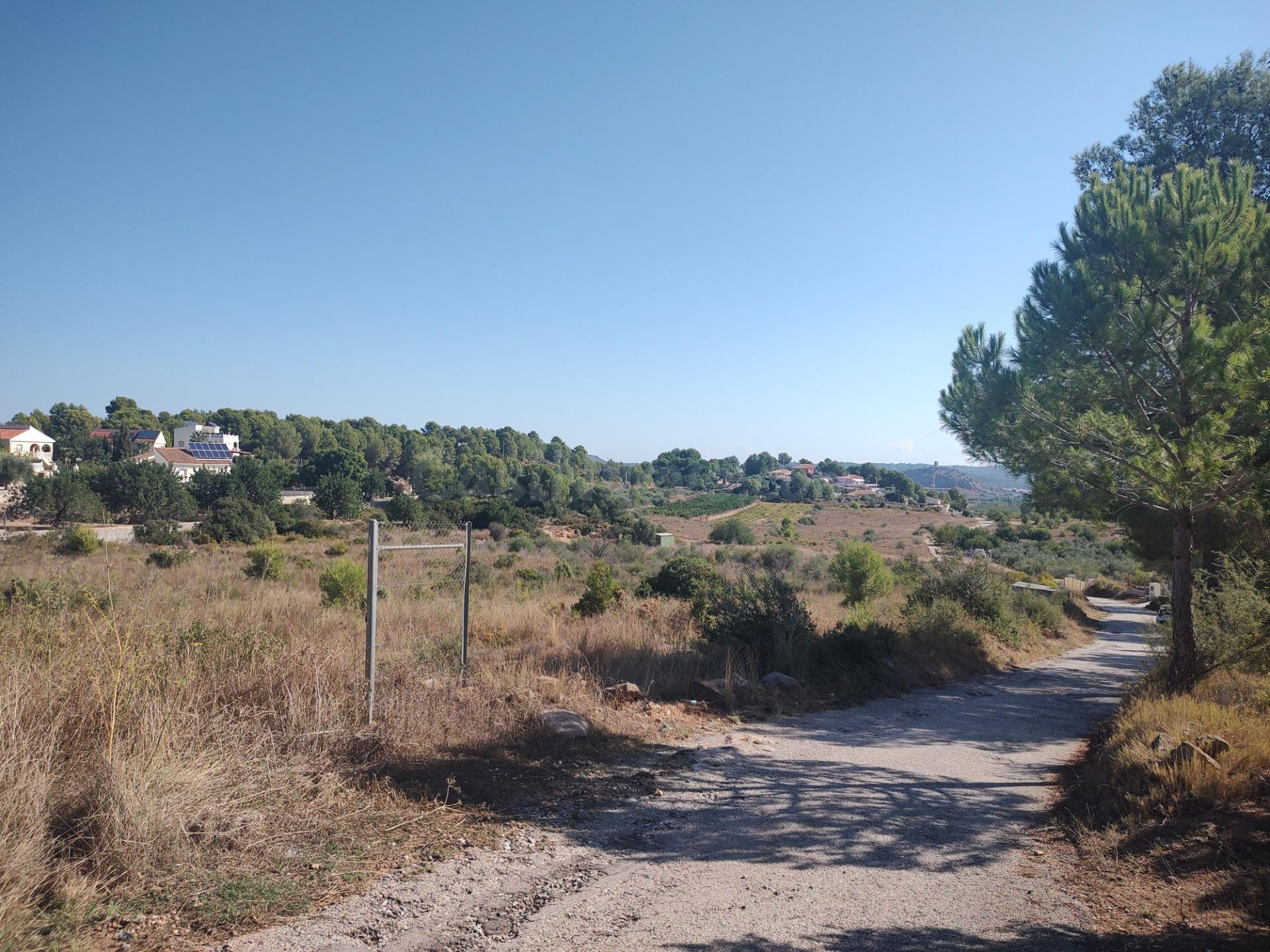 Gran parcela de 11.047 m2 con zona urbanizable y rústica en Montroy