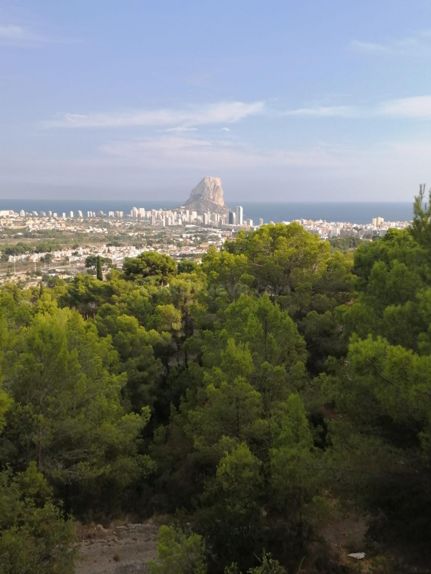 Parcela 18000m² en venta - Oltamar-Cucarres