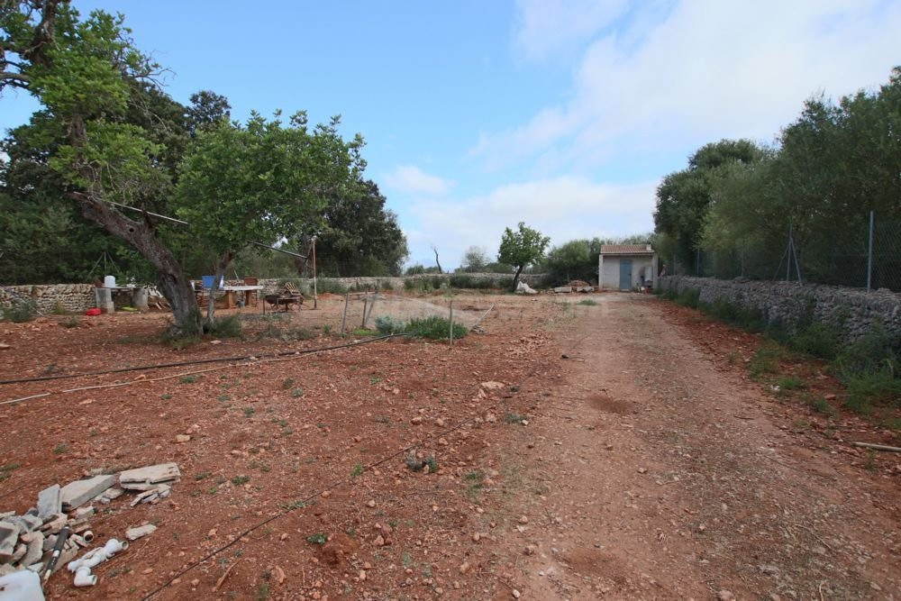 Finca rústica con pequeña caseta