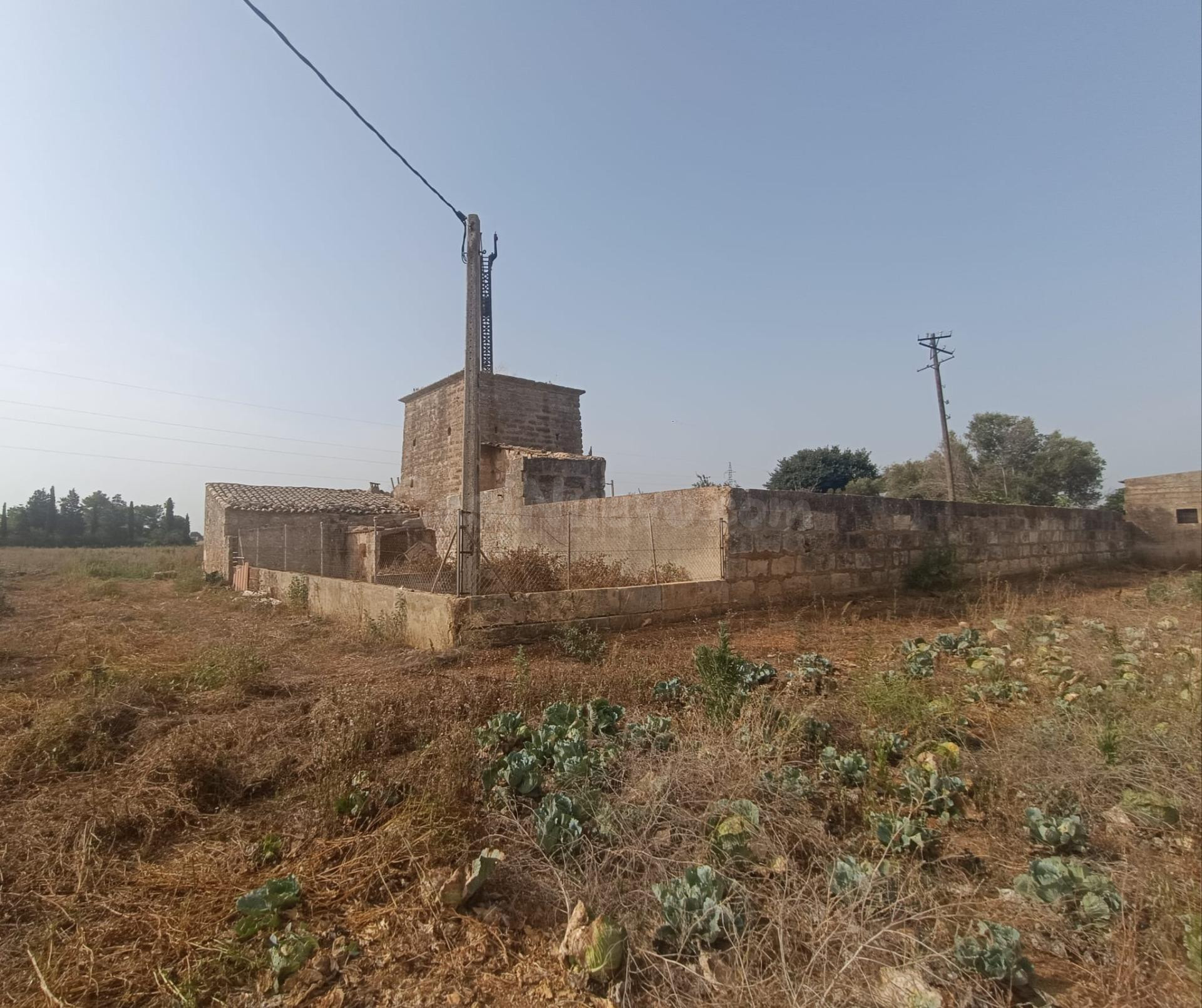 FINCA RUSTICA EDIFICABLE