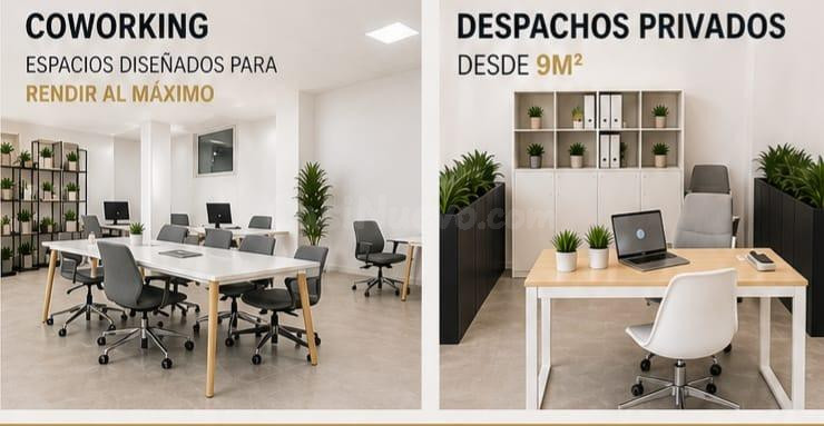 Local comercial 282m² en alquiler - Avenida de Alcudia