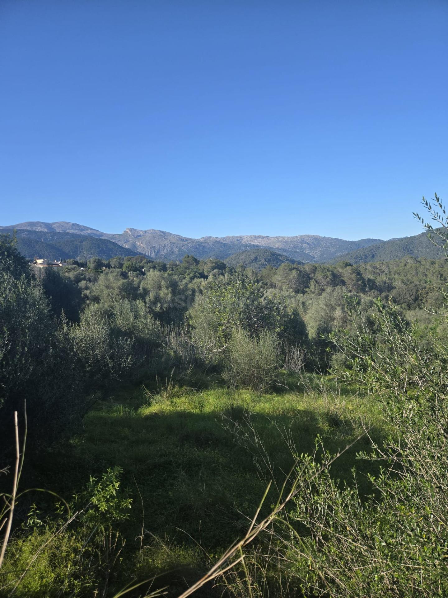 Oportunidad de Inversión en Campanet: Terreno Urbano