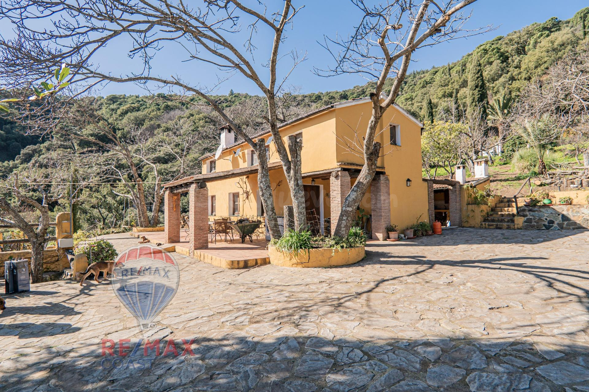 EXCLUSIVA FINCA EN PARAJE NATURAL EN JUBRIQUE - foto 2