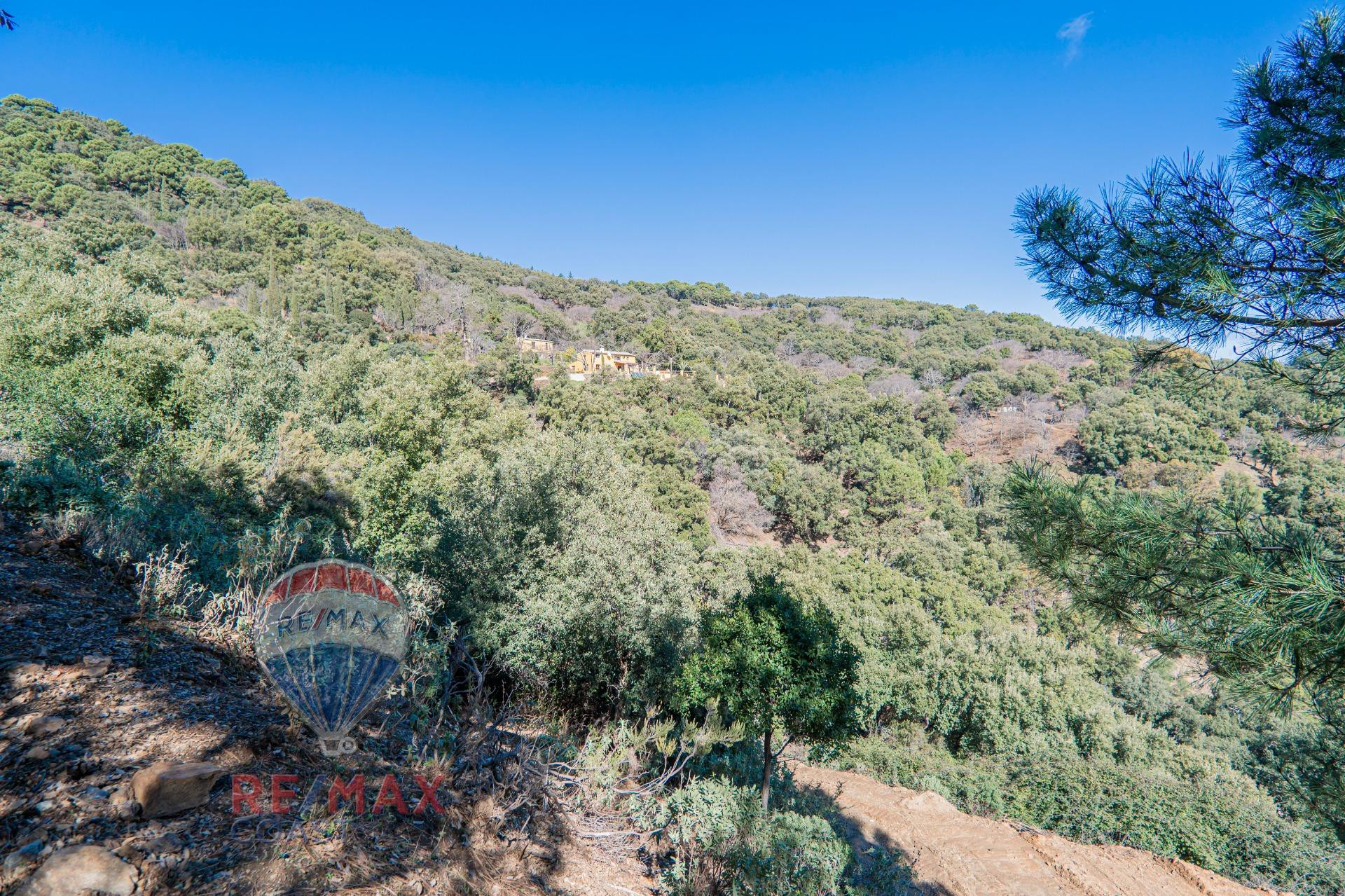 EXCLUSIVA FINCA EN PARAJE NATURAL EN JUBRIQUE - foto 4