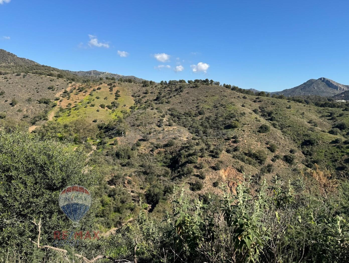 TERRENO URBANO , VISTAS AL MAR , A 5 MINUTOS DE MALAGA CENTR - foto 4