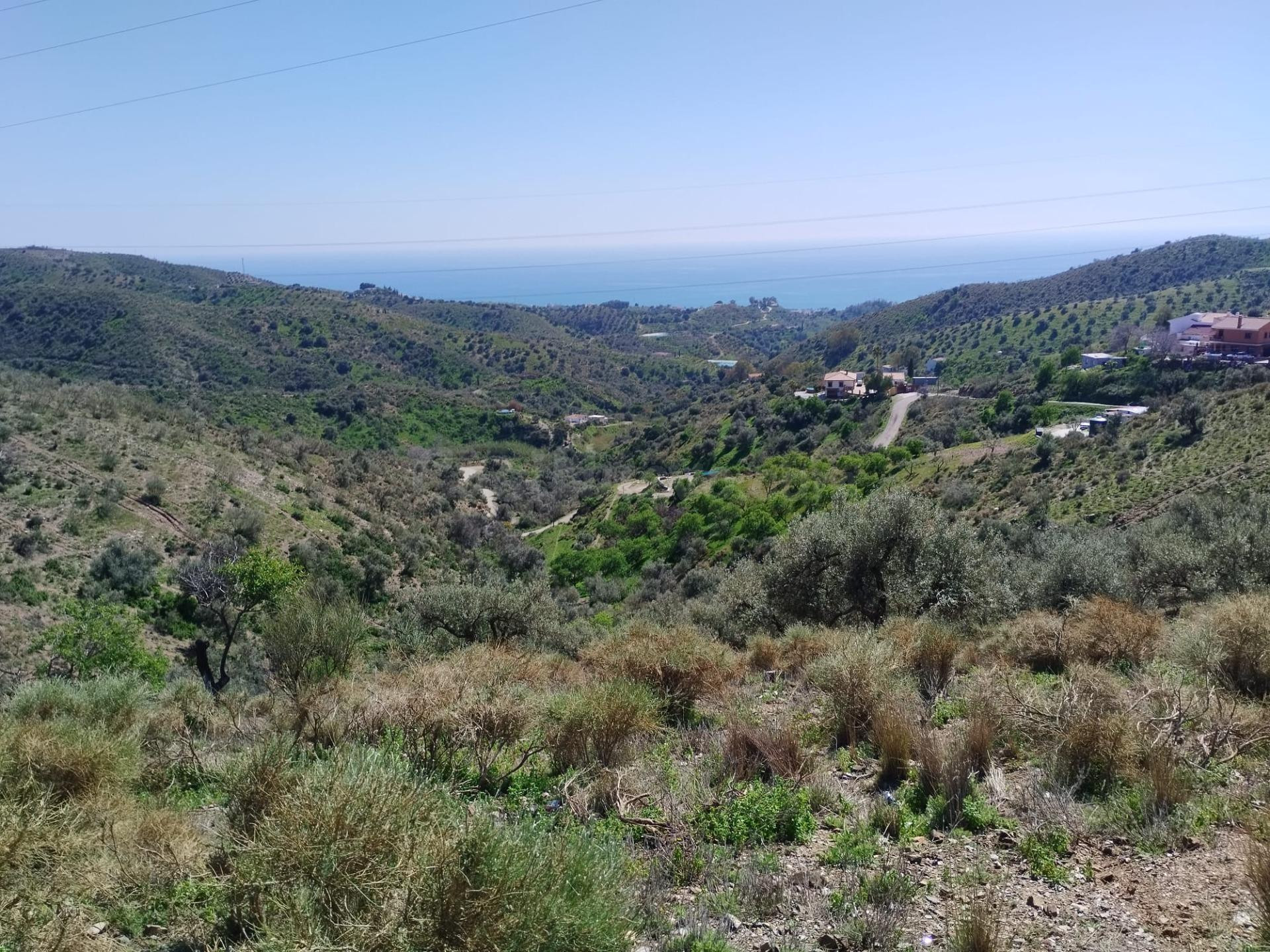 Terreno Rústico de 63.0000 metros cuadrados a dos km Añoreta a diez minutos del mar gran oportunidad inversores