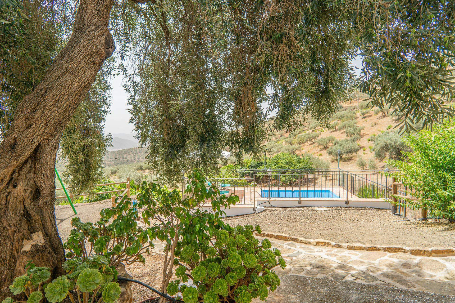 FINCA CON 31,1 HECTÁREAS DE TERRENO Y GRAN POTENCIAL, EN RIOGORDO-COLMENAR (MÁLAGA)