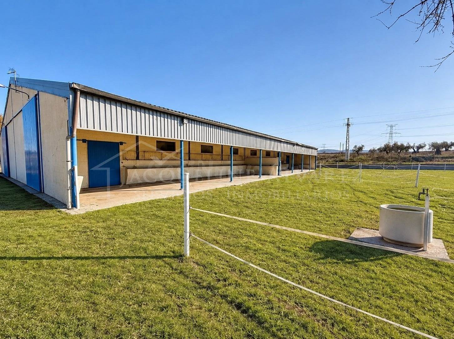 FINCA RÚSTICA DE 20.000 M2 CON NAVE Y ZONA ACONDICIONADA CON - foto 2